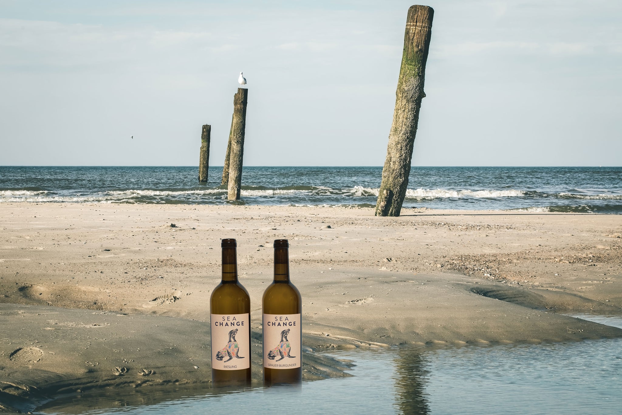 Sea Change Nachhaltigkeit Ozean Riesling Grauburgunder Tina Pfaffmann Plastikmüll Swagwine Wein 
