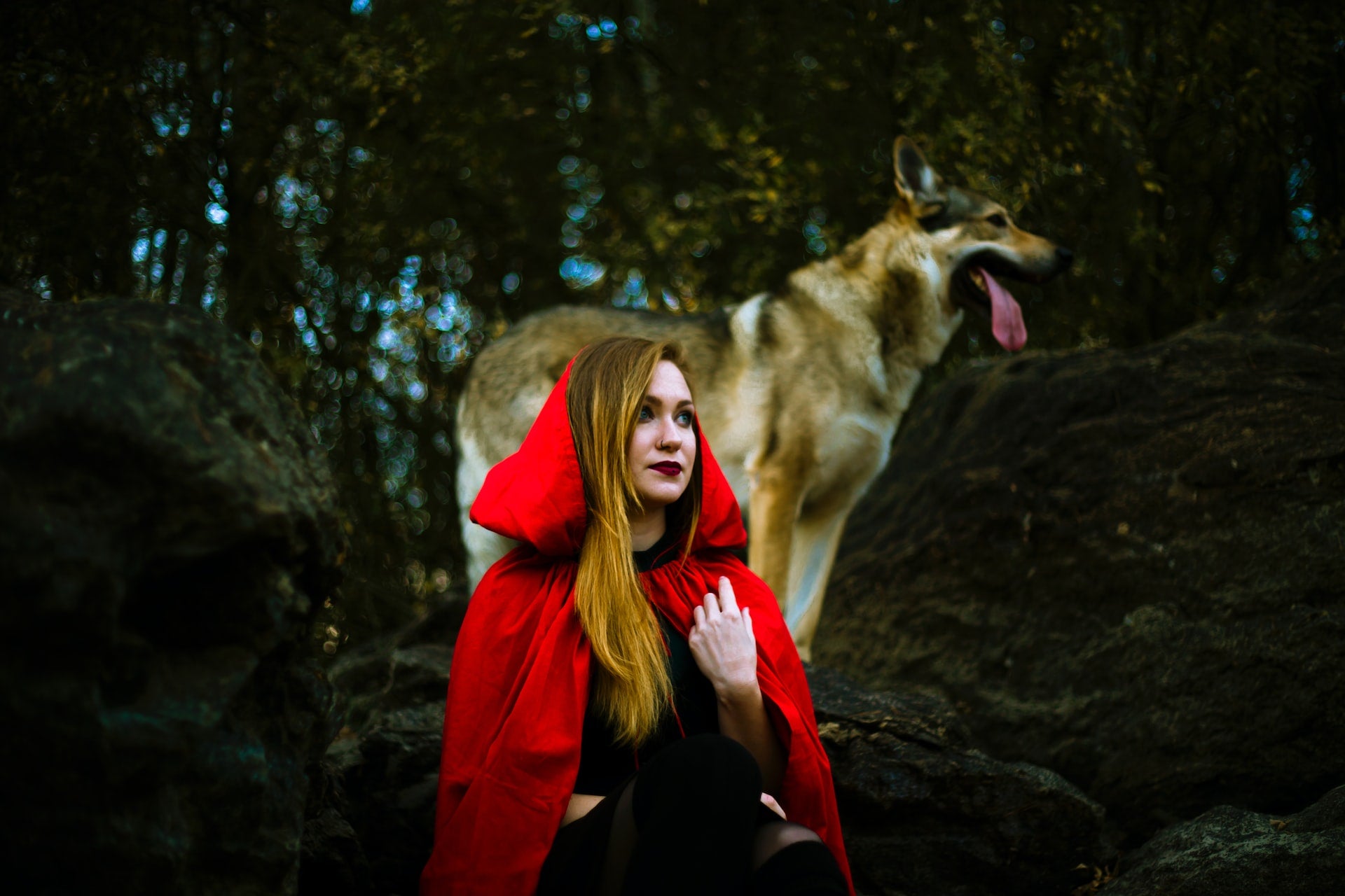Swagwine Red Riding Wolf Rotkäppchen Staffelter Hof Wald Beeren Aroma Das Auge trinkt mit wood forest wandern 
