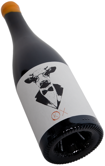 OX Orange Wine Grauburgunder Kuhn Weine Freiburg Swagwine Wein mit Kuh im Anzug