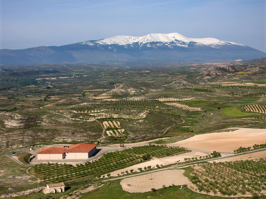 Das Weingut Alto Moncayo in Spanien vor schneebedecktem Berg