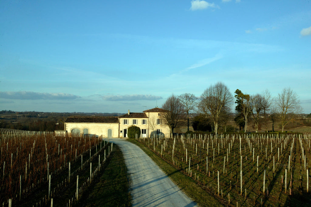 Chateau Valandraud von Jean Luc Thunevin in Saint Emilion - Bordeaux im Winter