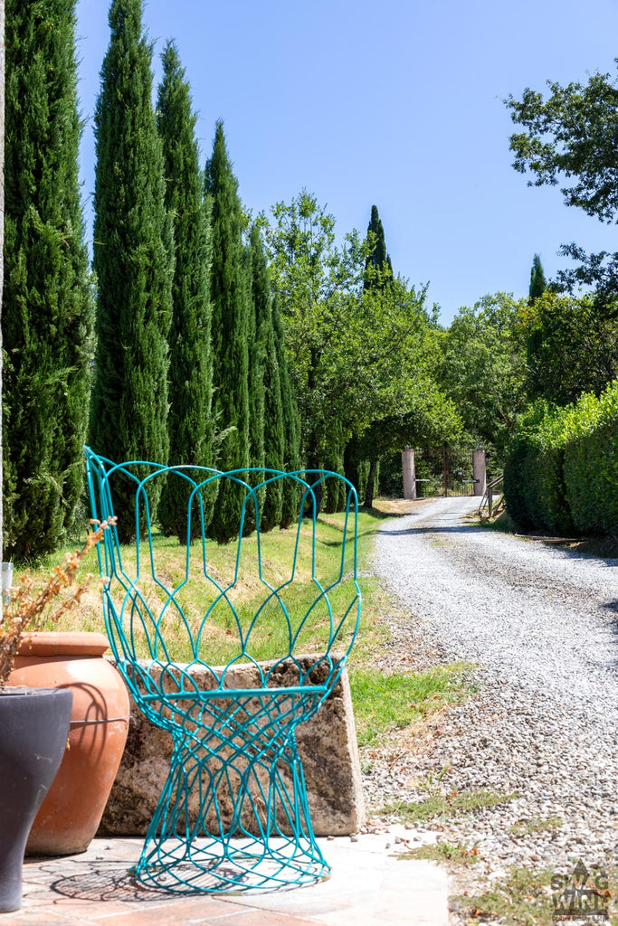 Weingut Il Drago e la Fornace Kieseinfahrt mit Zypressen und einem Designerstuhl