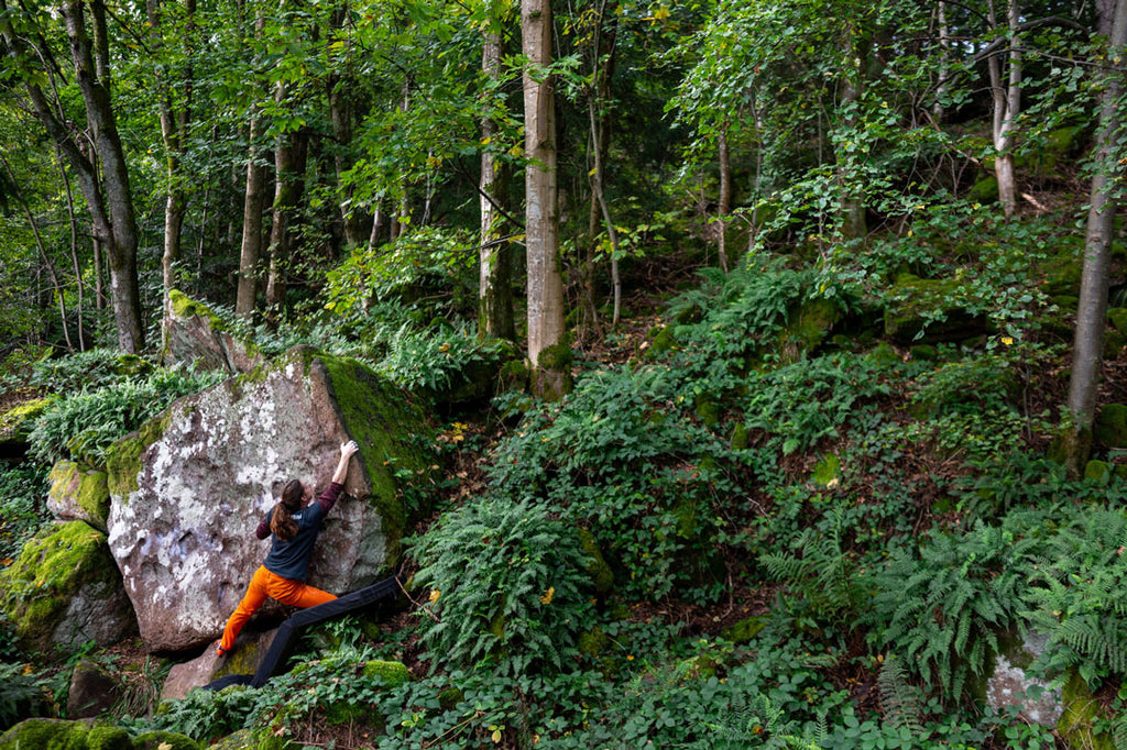 Frau klettert am Fels im Wald - Foto Etikett vom Spätburgunder Felsenmeer von Golter Weingut im Klee