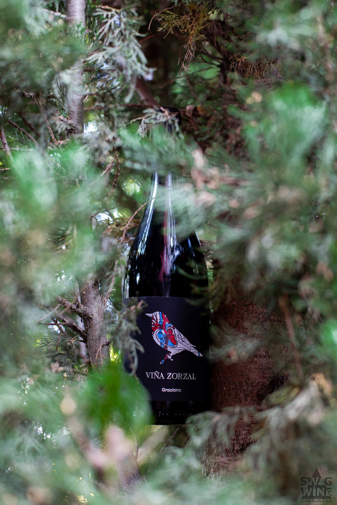 Graciano - Spanishcer Rotwein aus Garnacha von Vina Zorzal mit Vogel auf Etikett - Weinflasche in einem Baum