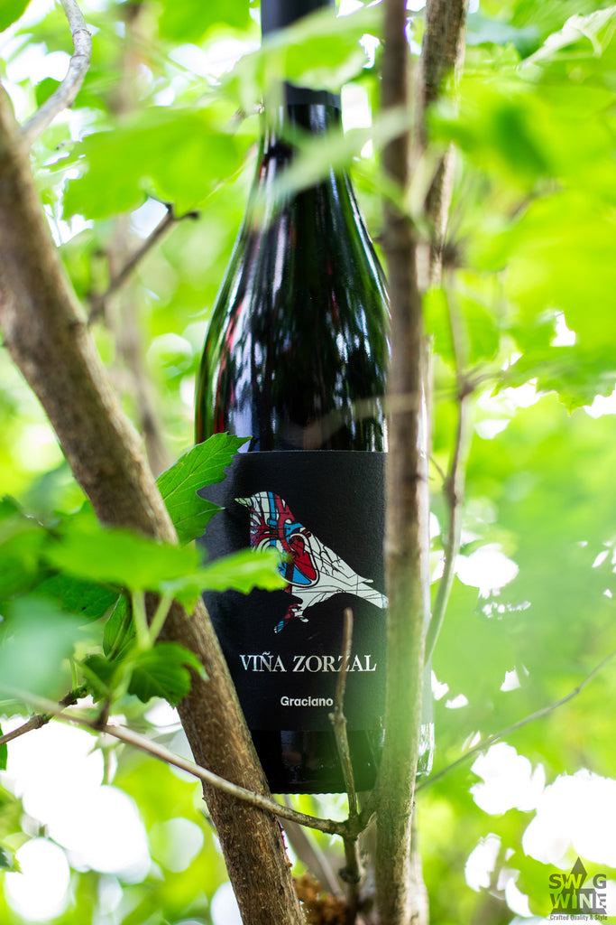Graciano Garnacha Rotwein von Vina Zorzal mit Vogel - Flasche in einem Baum mit grünen Blättern