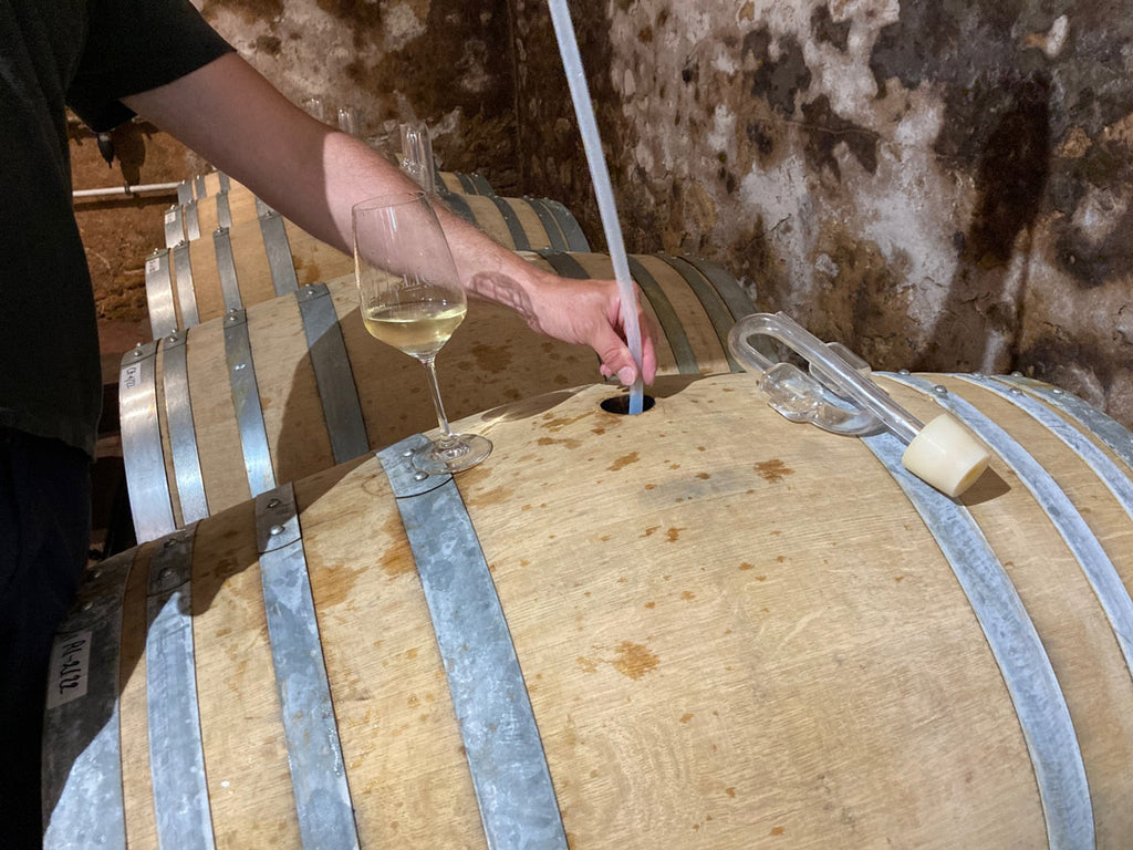 Weinprobe aus dem Holzfass im Weinkeller des Weinguts Lichti & Astroh in der Pfalz