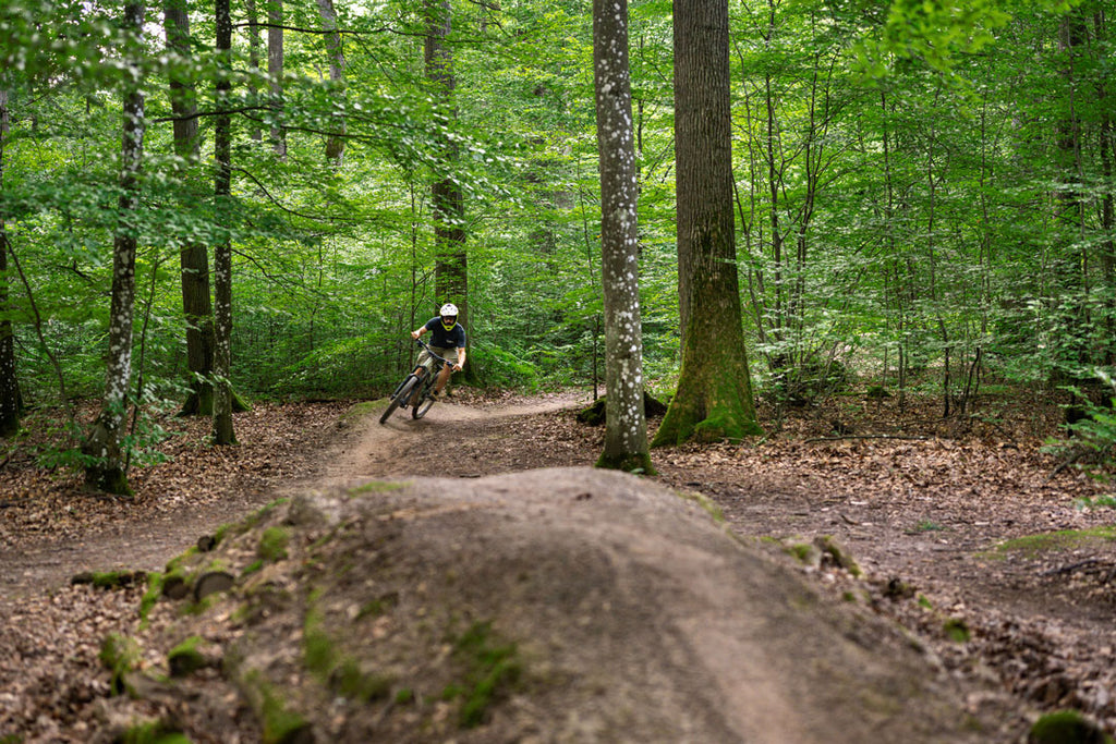 Winzer Christoph Golter beim Mountainbiken auf seinem Hometrail - Foto Etikett für den Lemberger des Weinguts