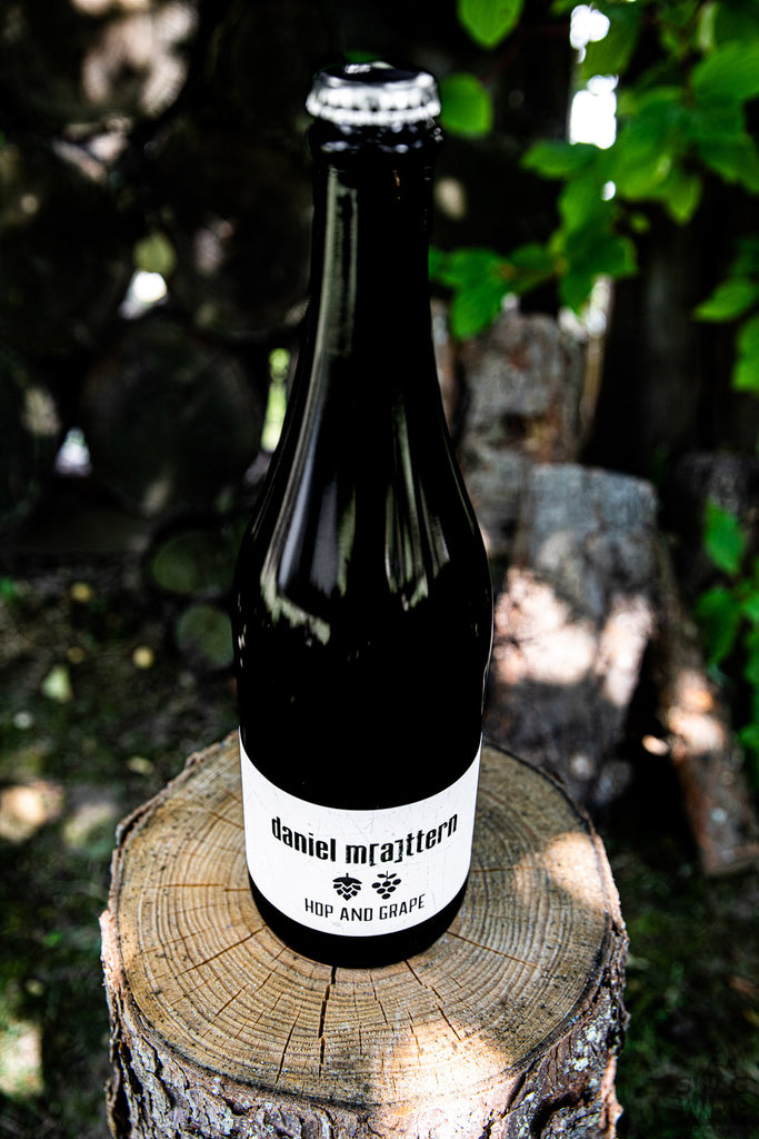 Hop and Grape - Sauvignon Blanc mit Hopfen von Daniel Mattern aus Rheinhessen - Flasche auf einem Baumstumpf