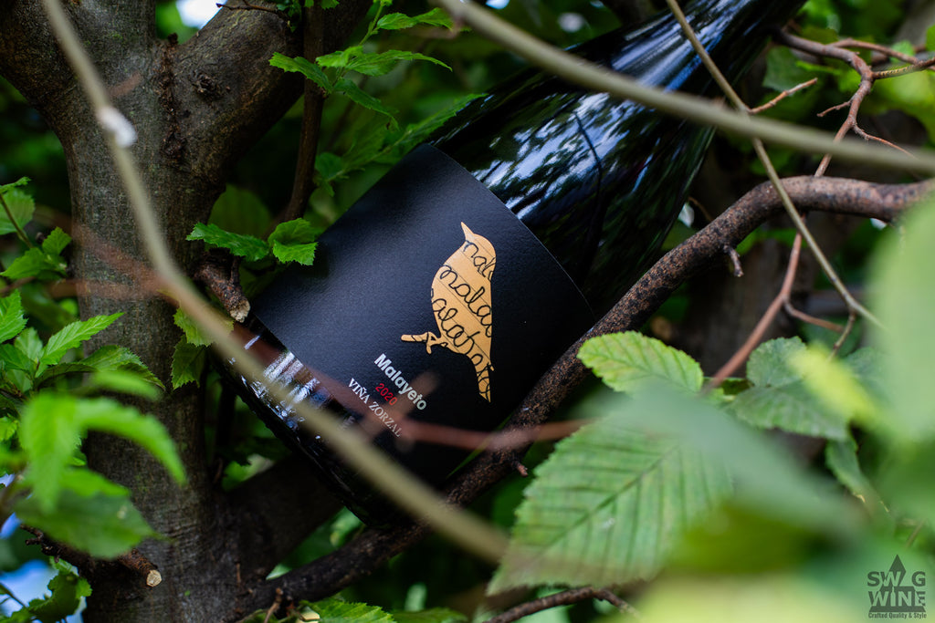 Garnacha Malayeto - Spanischer Rotwein von Vina Zorzal mit Vogeldesign - Weinflasche in einem Baum