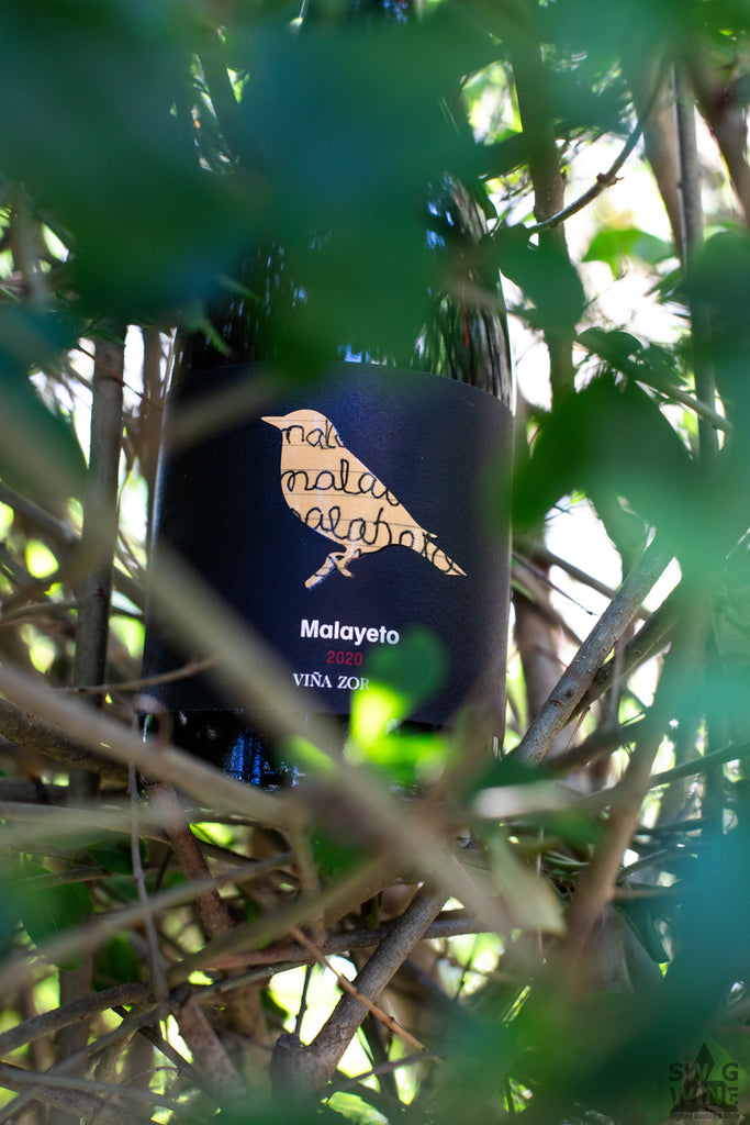 Garnacha Malayeto von Vina Zorzal aus Spanien. Weinflasche mit Vogeldesign in einem Gebüsch