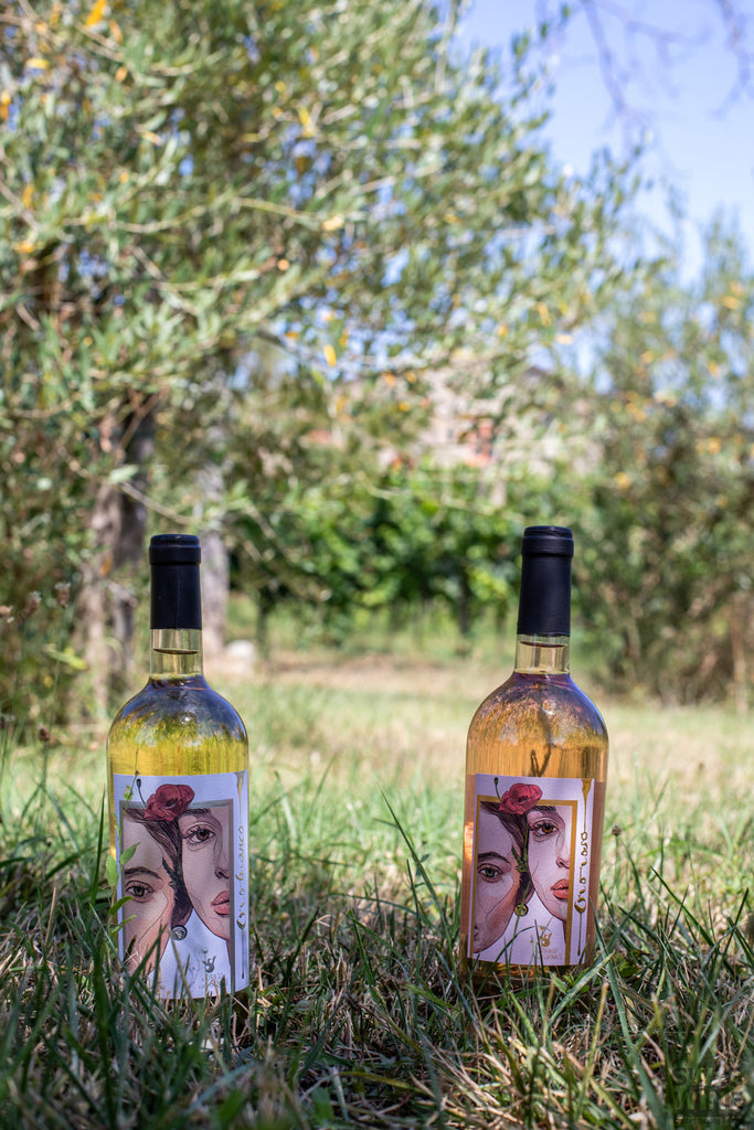 Oro Bianco und Rosa - Weißwein und Rosé von il Drago e la Fornace aus der Toskana - zwei Flaschen stehen auf einer Wiese