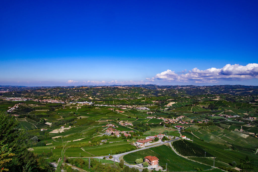 Aussicht von Belvedere in Piazza Castello La Morra über die Weinberge