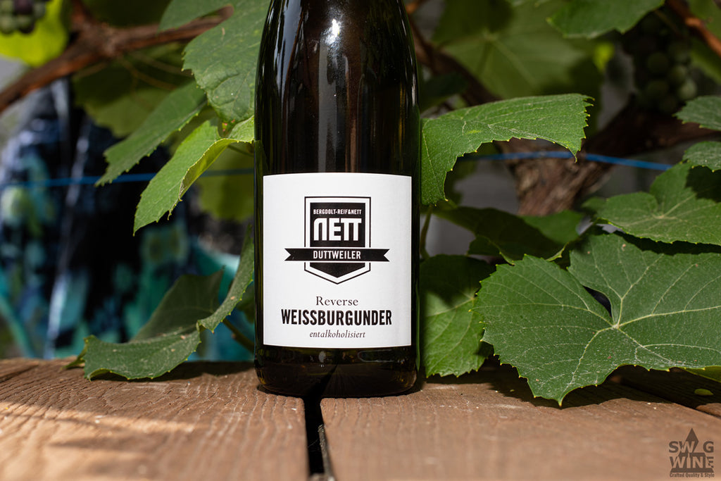 Alkoholfreier Weißwein Reverse Pinot Bianco von Bergdolt-Reif und Nett aus der Pfalz - Flasche vor Weinreben