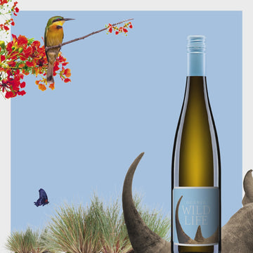 Wild Life Weißwein Cuvée von Weingut Hörner - Hainbachhof, Südpfalz. Kolibri Schmetterling und Nashorn im Video mit Weinflasche