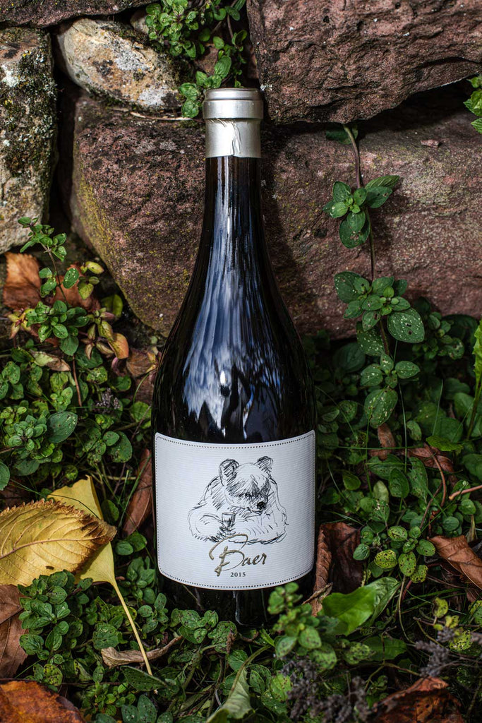 Sauvignon Blanc Baer von Oliver Zeter - Pfalz - Weinflasche vor Sandstein in Oregano