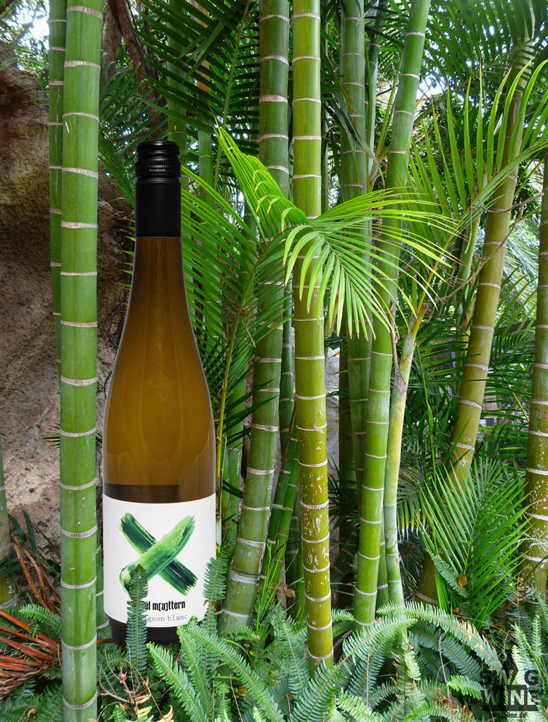 Sauvignon Blanc von Daniel Mattern aus Rheinhessen - Flasche in einem tropischen Bambus Wald