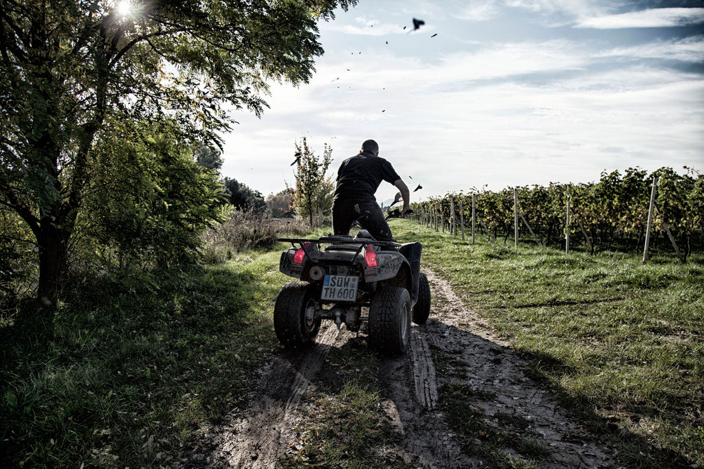 Thomas Hörner vom Weingut fährt im Quad rasant durch den Weinberg