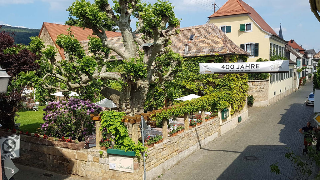 Weingut Heinrich Spindler in Forst 400 Jahre Familientradition Garten