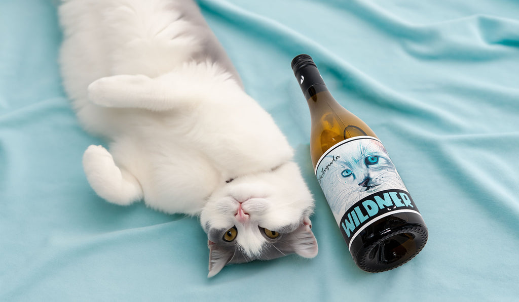 Weißburgunder von Weingut Wildner aus Rheinhessen - Weinflasche neben sich räkelnder Katze
