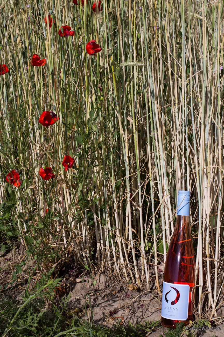 Ein Bett im Kornfeld Horny Rosé Thommy Hörner Pfalz