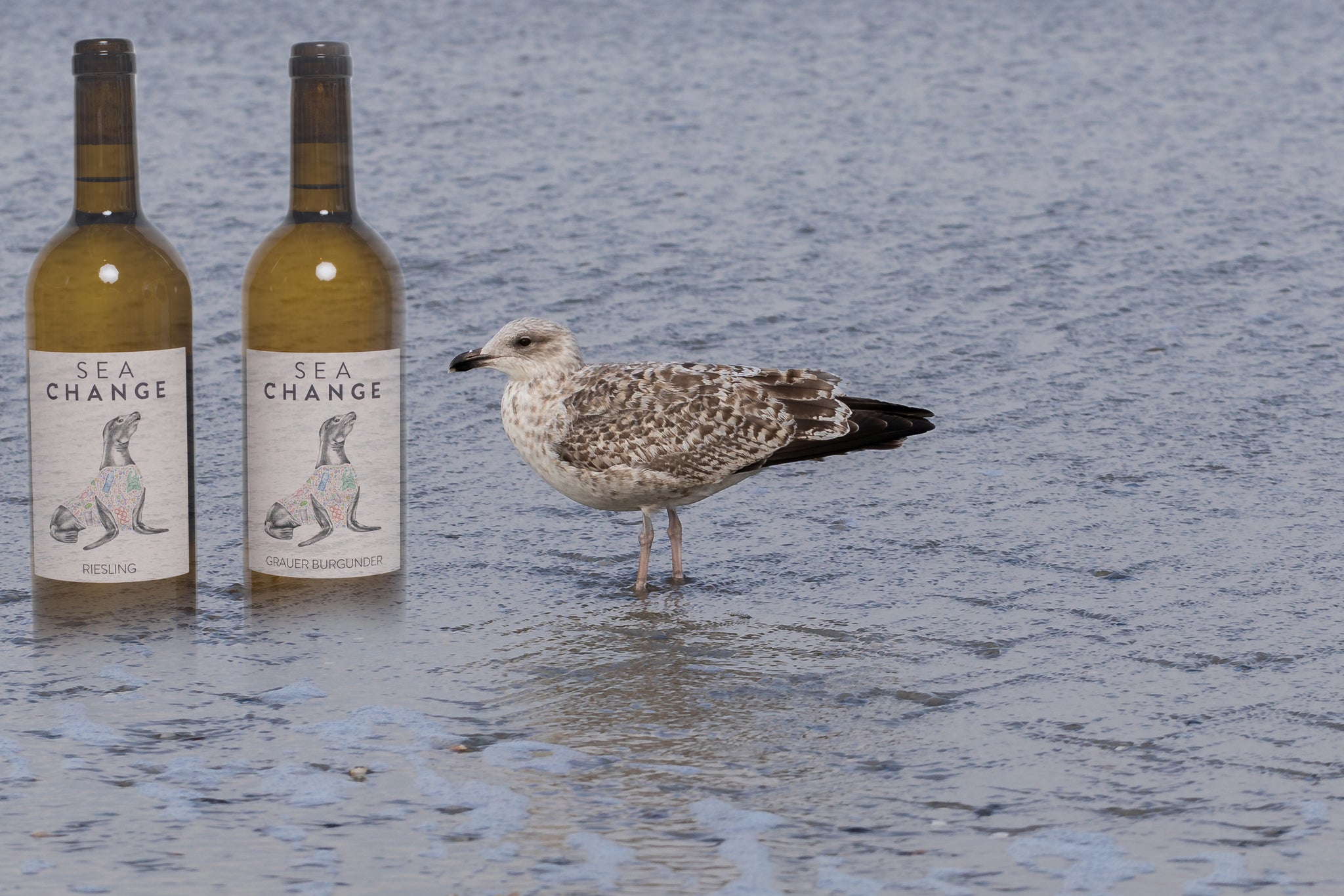 Sea Change Nachhaltigkeit Ozean Riesling Grauburgunder Tina Pfaffmann Plastikmüll Swagwine Wein 