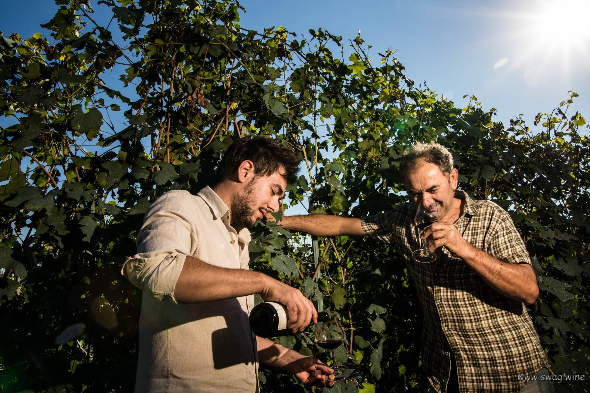 Swagwine Selection Rot Cascina del Monastero Nebbiolo d'Alba 2011