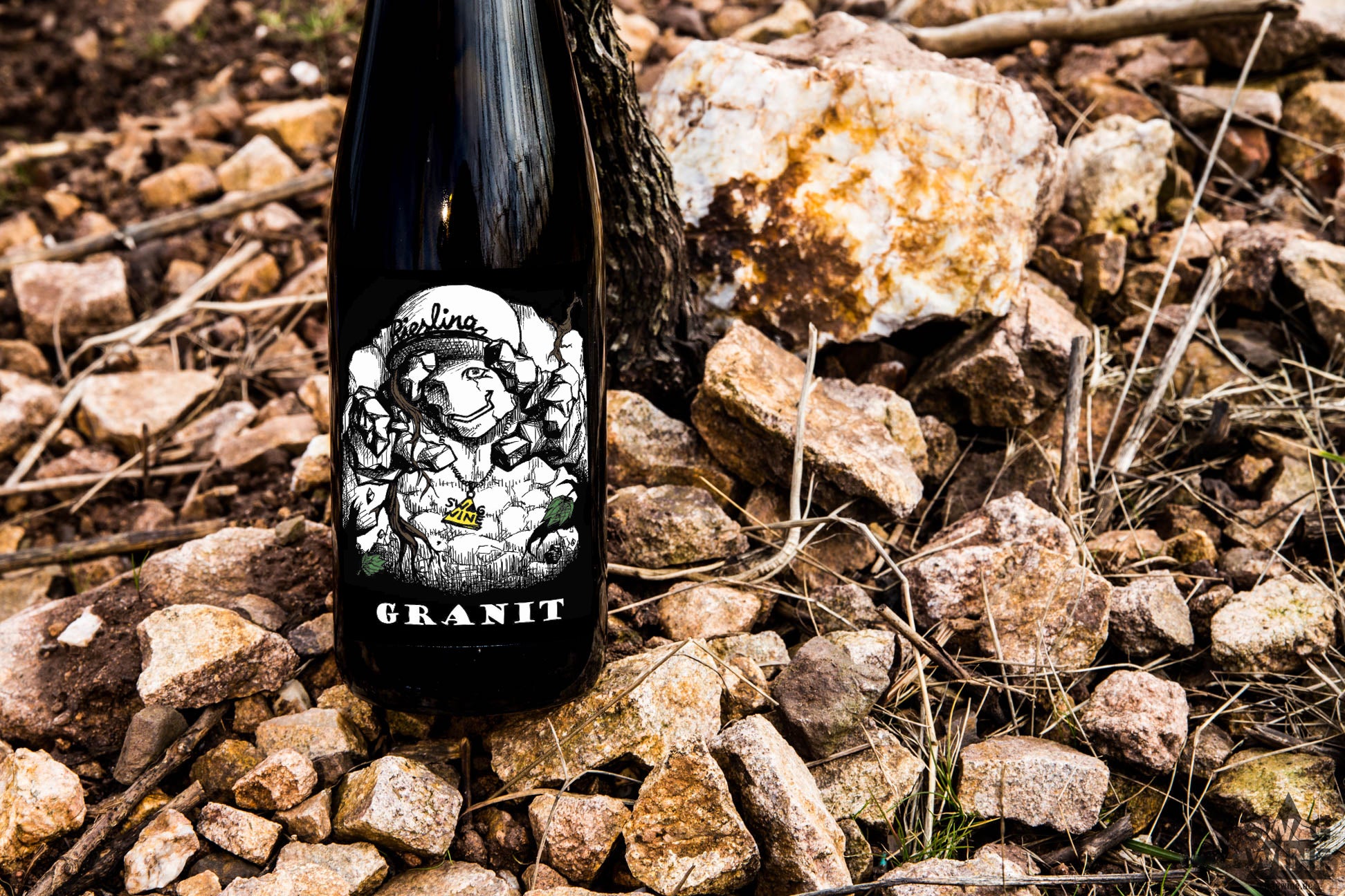 Riesling Granit Georg Meier Weyher Pfalz Golem Cap Swagwine Riesling Granit Weißwein Style Swagwine Das Augr trinkt mit