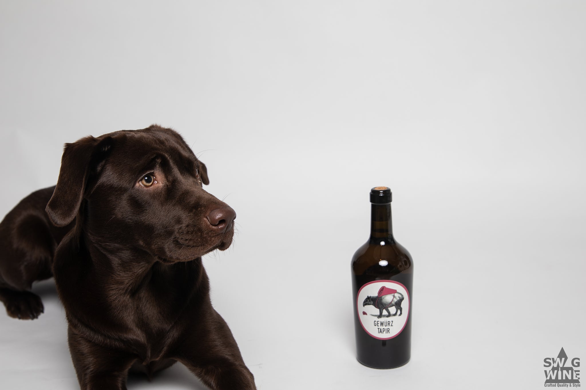 Swagwine Gewürztraminer Gewürz Gewuerztraminer Tapir Gewürztapir das Auge trinkt mit Rheingau Wohlfahrt-Franke Wein Wine