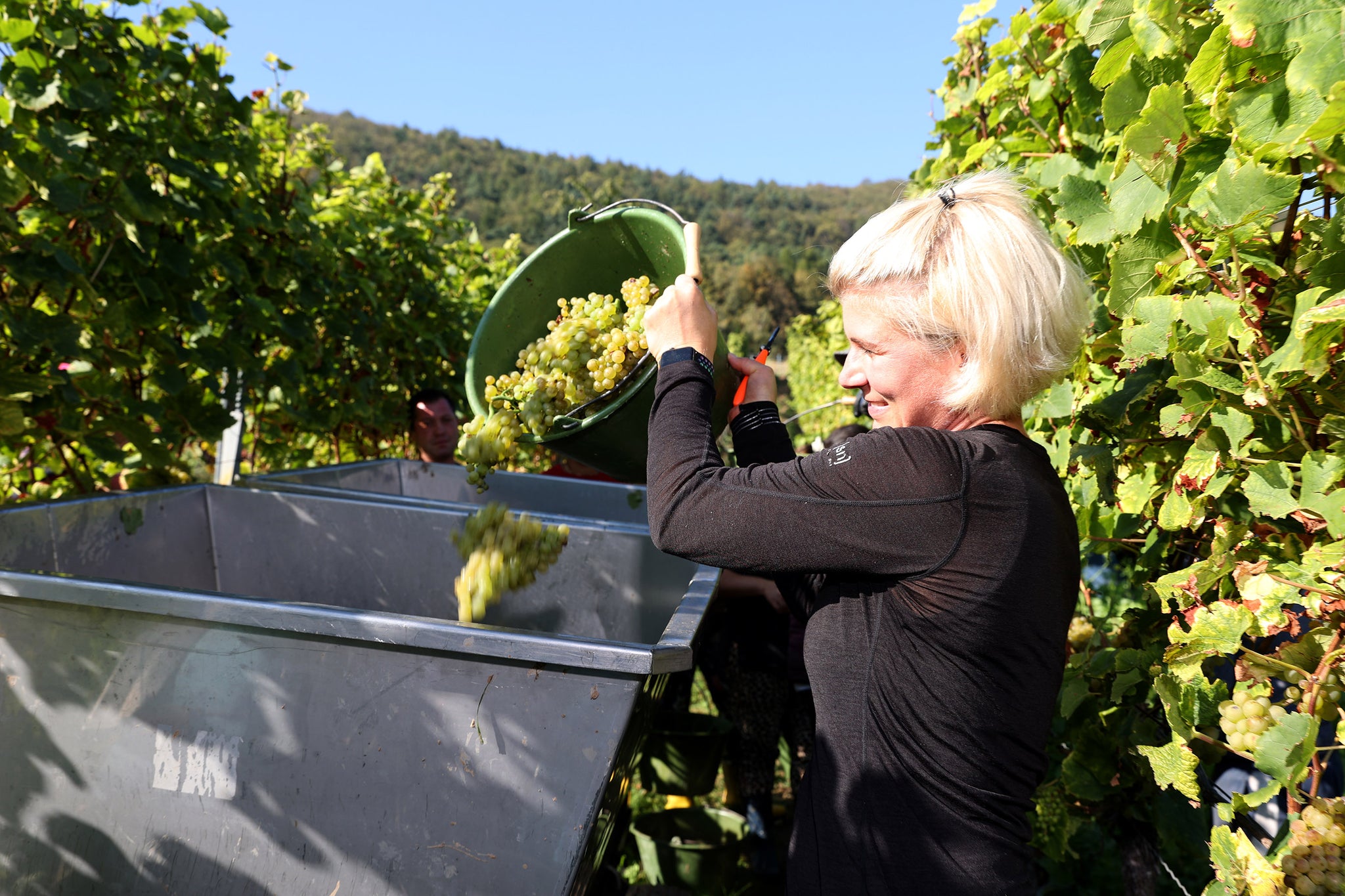 Barfuß Cuvée Weissburgunder Grauburgunder Tina Pfaffmann Pfalz Swagwine