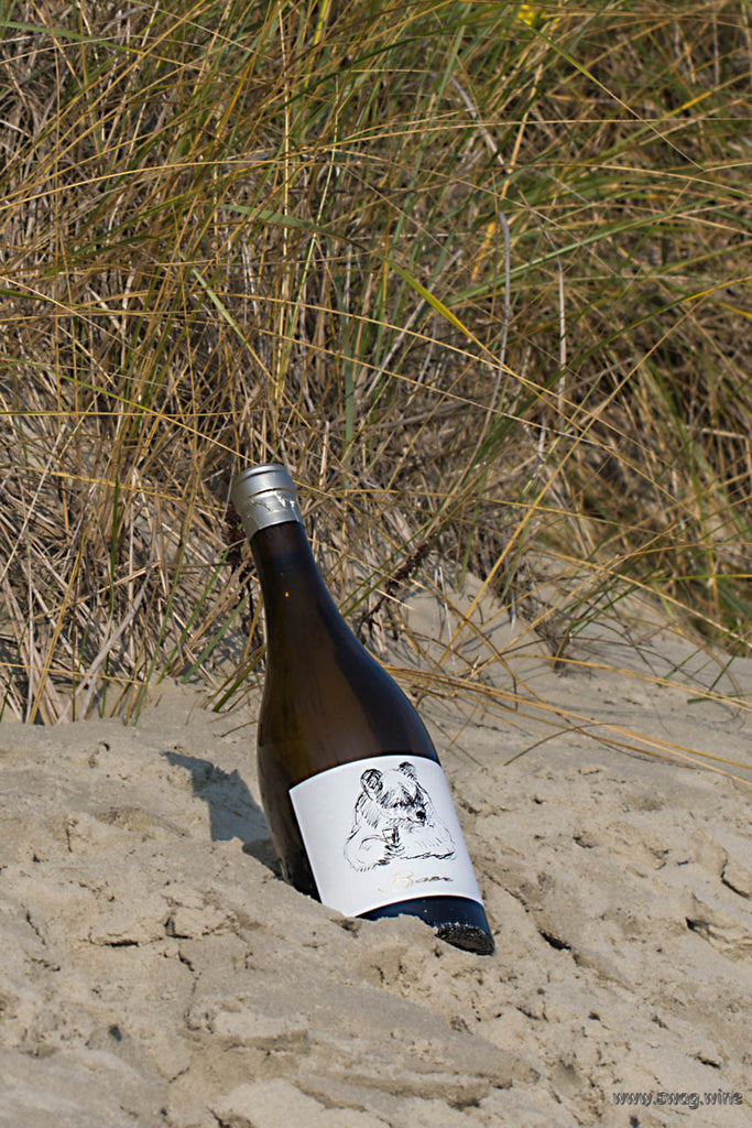 Sauvignon Blanc Baer - Spitzen Weißwein von Oliver Zeter aus der Pfalz - Flasche im Dünensand