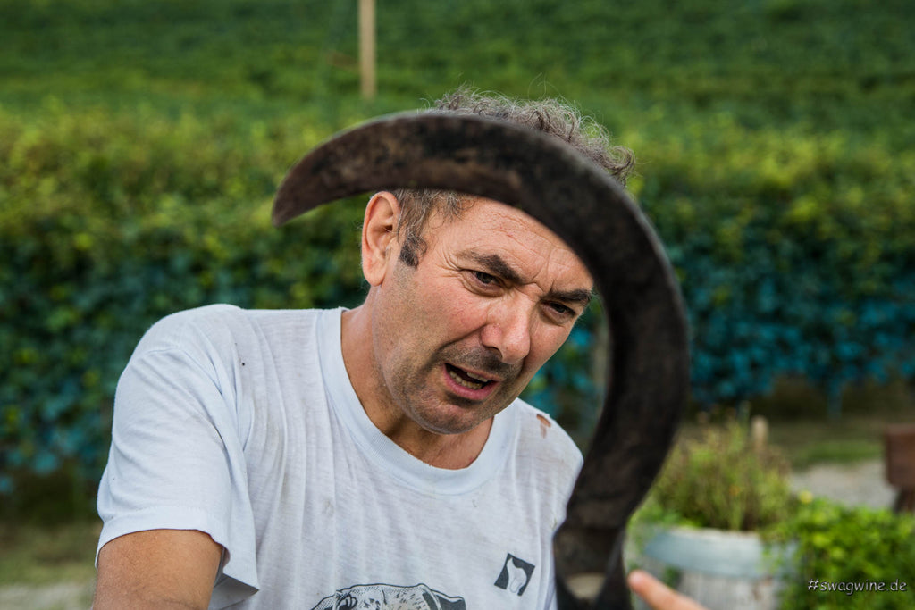 Giuseppe Grasso von Cascina del Monastero bei der Arbeit mit einer Sense