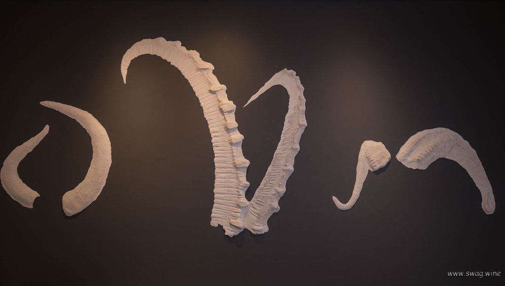 Hörner von Stier - Steinbock und Widder - die drei Qualitätsstufen bei Weingut Hörner - Hainbachhof, Pfalz