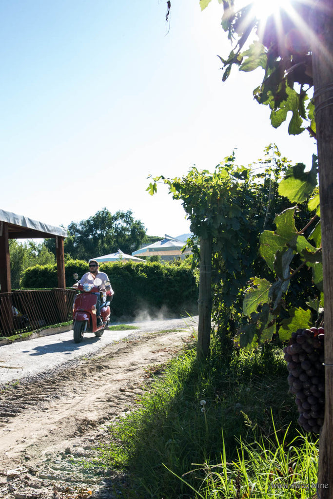 Lorenzo Grasso fährt auf der Vespa im Weingut Cascina del Monastero Italienischer Lifestyle La dolce vita