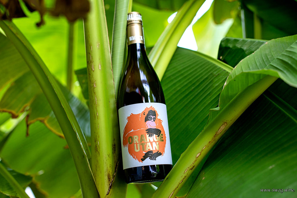Orange Utan Wein von Wageck-Pfaffmann und Swagwine - Flasche in einer Bananenpflanze