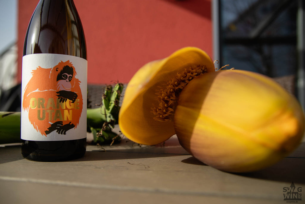 Orange Utan Wein Sauvignon Blanc von Swagwine Flasche mit orangenem Orang-Utan und goldener Schrift neben einer Bananenblüte