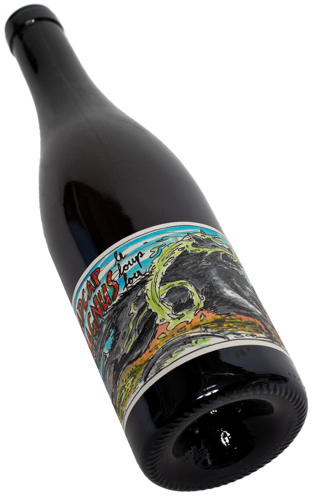 Riesling Naturwein Madcap Magnus vom Staffelter Hof an der Mosel in der 0,75 L Flasche bei Swagwine